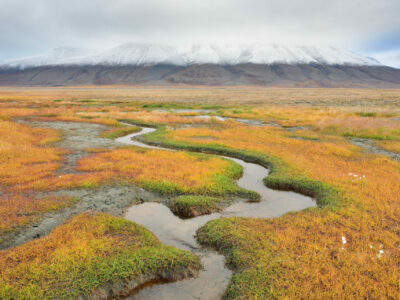 Svalbard – Autumn expedition 30/08 – 08/09/2026 – Fully booked
