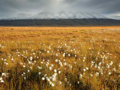 Svalbard – Autumn Expedition 13/09 – 24/09/2023