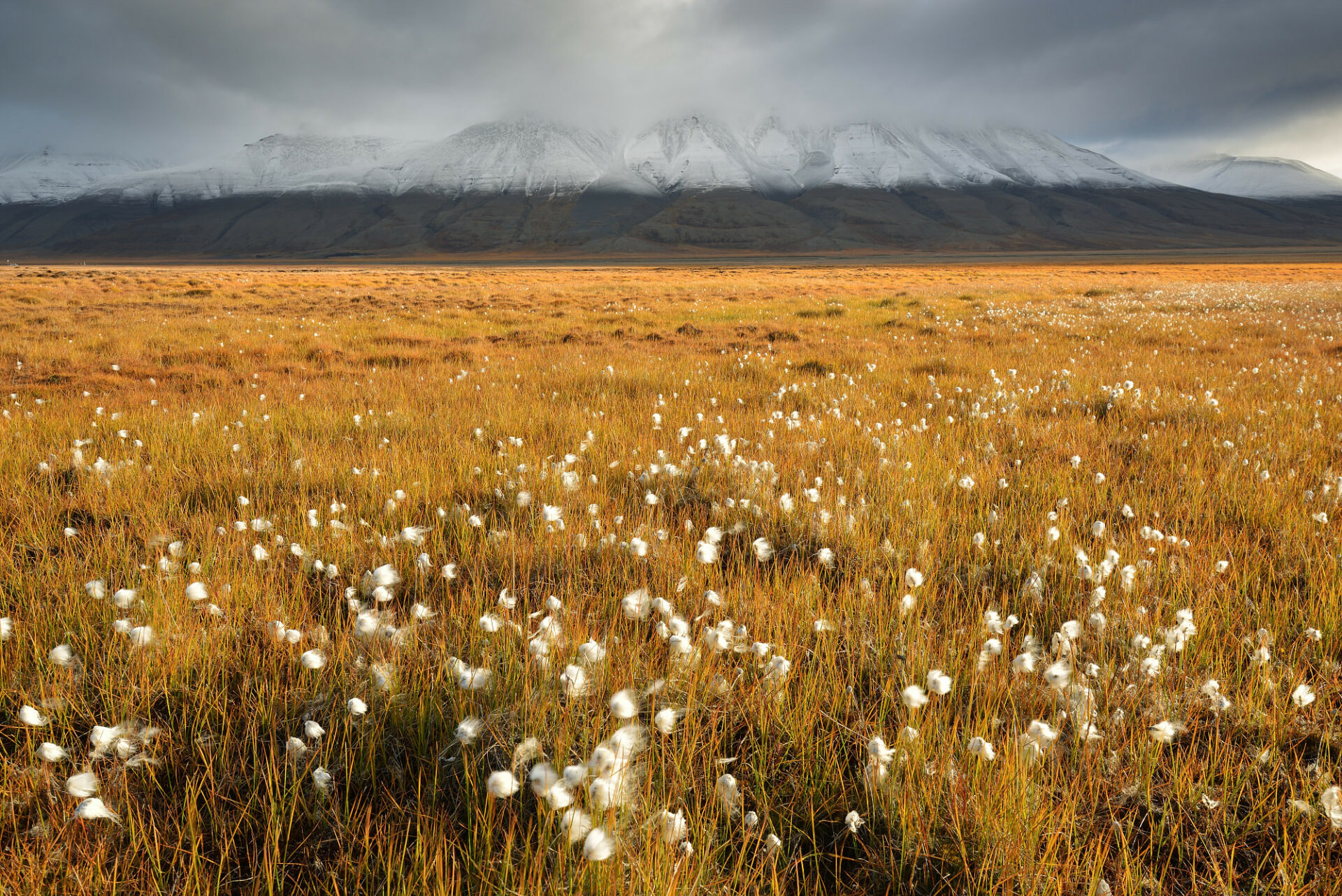 Svalbard