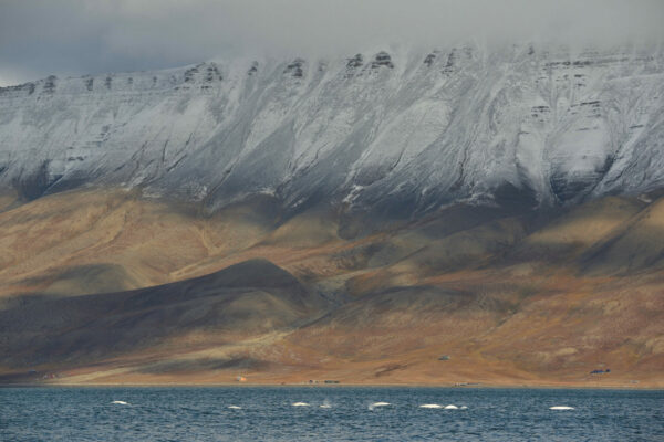 Svalbard – Autumn Expedition 24/09 – 05/10/2023 3 Spots Left