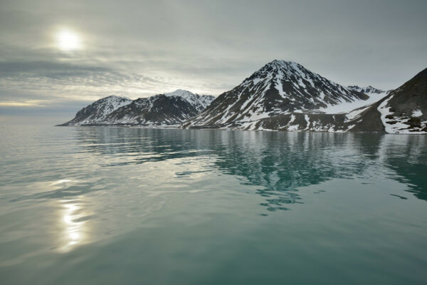 Svalbard – Summer Expedition 27/06- 06/07/2023
