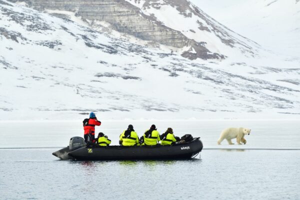 Svalbard – Summer Expedition 06/07 – 15/07/2024