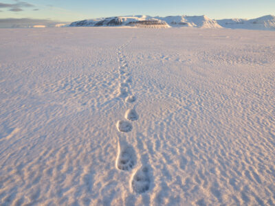 Svalbard – Pastel Winter 07/04 – 15/04/2023 SOLD OUT
