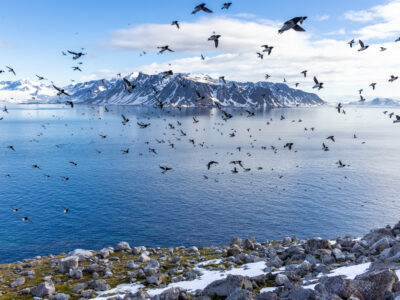 Svalbard – Sunny Winter 07/04 – 15/04/2025 – Fully Booked