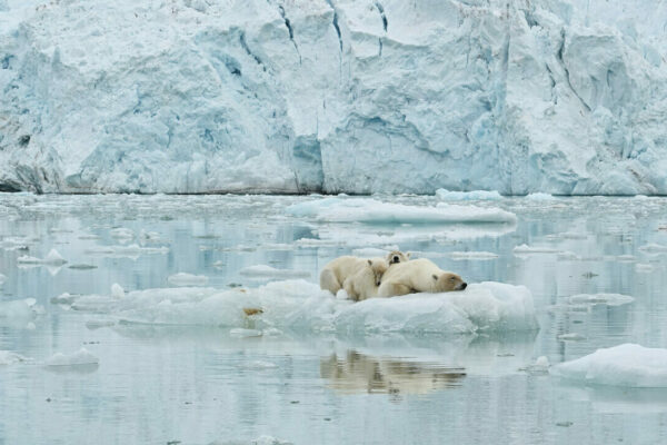 Svalbard – Summer Expedition 27/06 – 06/07/2024 – SOLD OUT