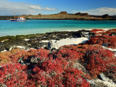 Galápagos: Southeast Central Islands