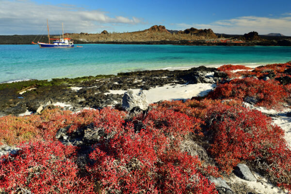 Gal&aacute;pagos: Southeast Central Islands