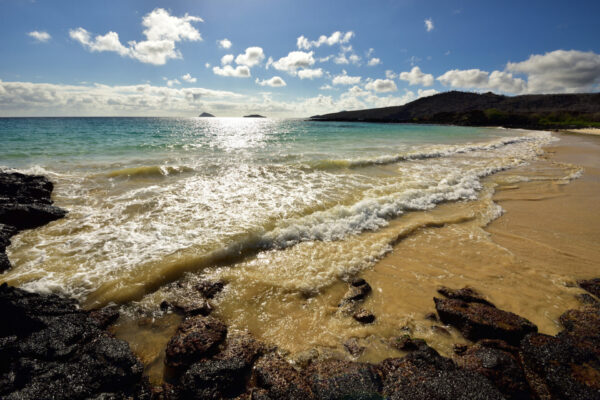 Gal&aacute;pagos: Northwest Islands